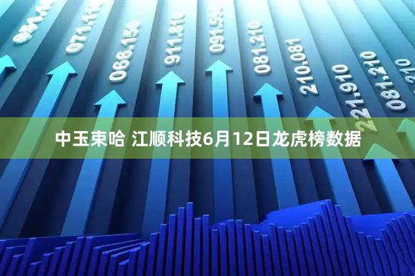 中玉束哈 江顺科技6月12日龙虎榜数据