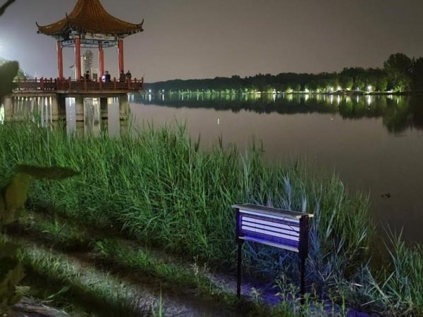 赚配网 太阳能驱蚊灯+水草清理，顺义减河公园蚊虫治理获居民点赞