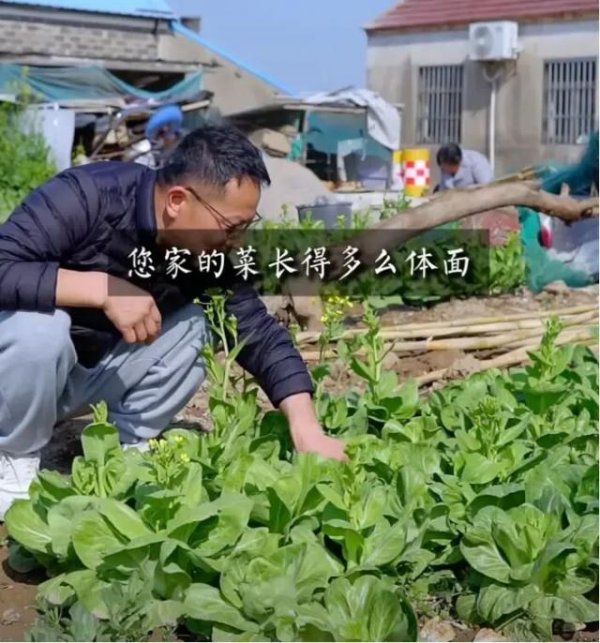 红盘策略 逃离城市的他，教年轻人如何算好「人情账」