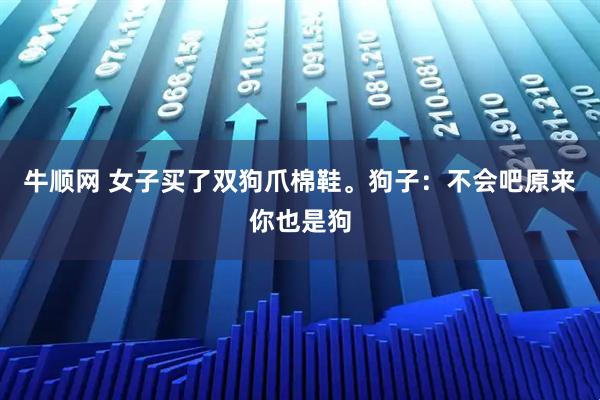 牛顺网 女子买了双狗爪棉鞋。狗子：不会吧原来你也是狗